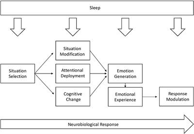 A daily-level, within-person examination of emotion regulation as a mediator of the relationship between sleep and behavior in youth